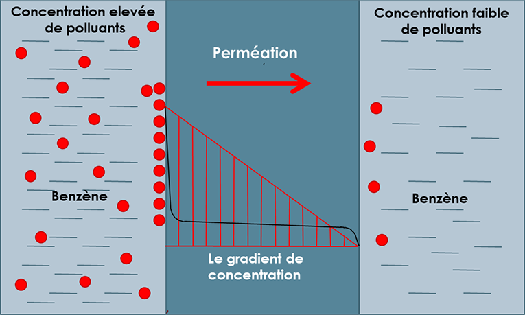 Schéma du phénomène de perméation